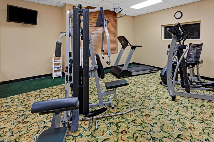 Imagen de los interiores del Hotel Wingate By Wyndham Atlanta Galleria/ballpark. Foto 14