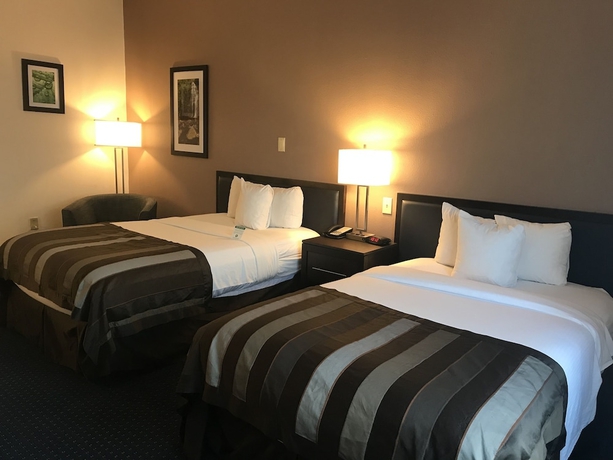 Imagen de la habitación del Hotel Wingate By Wyndham Augusta/fort Eisenhower. Foto 7
