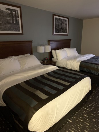 Imagen de la habitación del Hotel Wingate By Wyndham Brighton. Foto 4