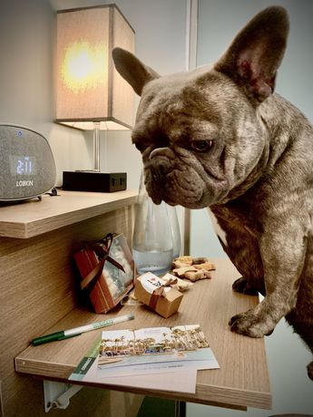 Imagen de la habitación del Hotel Wingate By Wyndham Bronx/haven Park. Foto 15