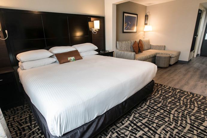 Imagen de la habitación del Hotel Wingate By Wyndham Dallas Love Field. Foto 8