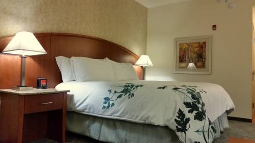 Imagen de la habitación del Hotel Wingate By Wyndham Elkins. Foto 12