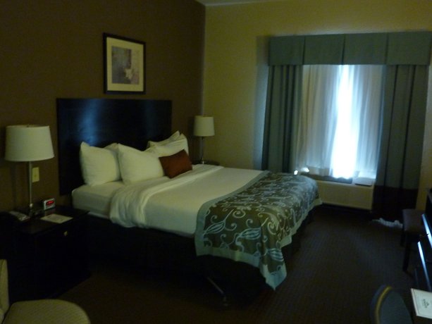 Imagen de la habitación del Hotel Wingate By Wyndham Erlanger / Florence / Cincinnati South. Foto 8