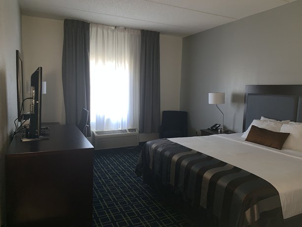 Imagen de la habitación del Hotel Wingate By Wyndham Fletcher At Asheville Airport. Foto 8