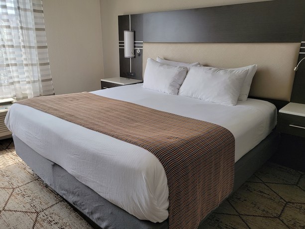 Imagen de la habitación del Hotel Wingate By Wyndham - Greenville-airport. Foto 8