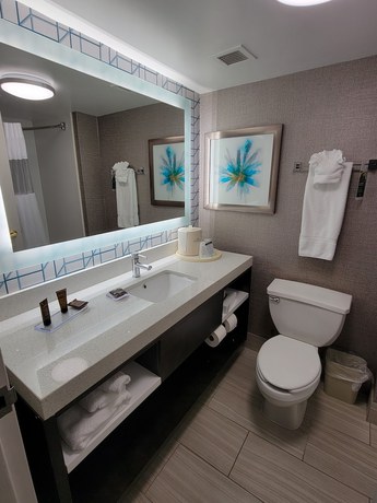 Imagen de la habitación del Hotel Wingate By Wyndham - Greenville-airport. Foto 17