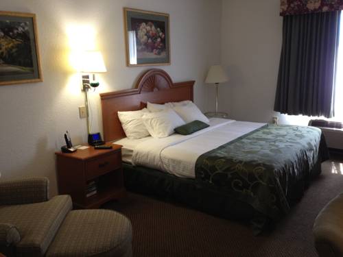 Imagen de la habitación del Hotel Wingate By Wyndham Indianapolis Airport Plainfield. Foto 6