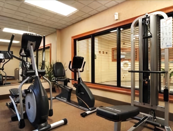 Imagen de los interiores del Hotel Wingate By Wyndham Lafayette Airport. Foto 12