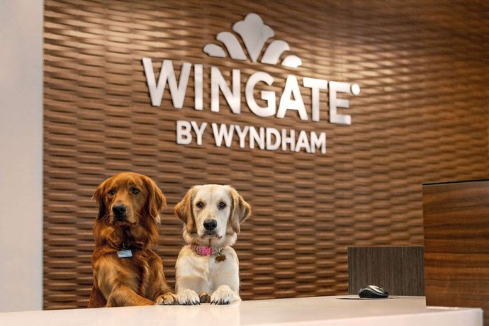 Imagen general del Hotel Wingate By Wyndham Lethbridge. Foto 1