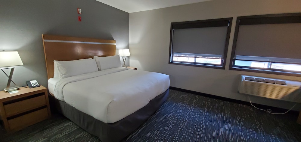 Imagen de la habitación del Hotel Wingate By Wyndham Lethbridge. Foto 18