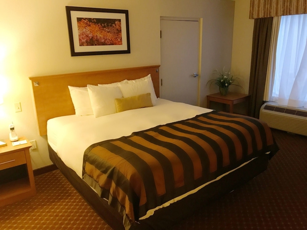 Imagen de la habitación del Hotel Wingate By Wyndham Louisville East. Foto 3