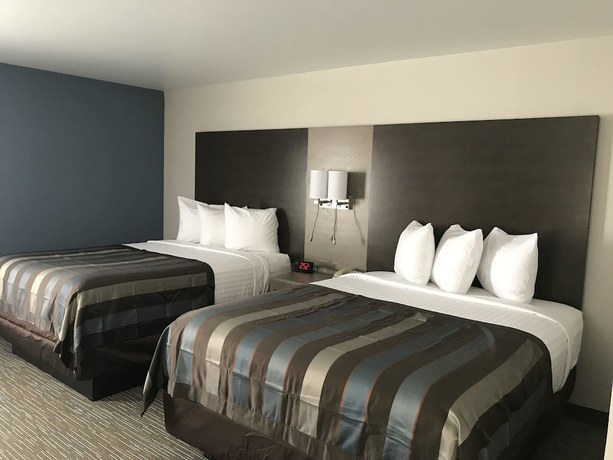Imagen de la habitación del Hotel Wingate By Wyndham Louisville Fair and Expo. Foto 2