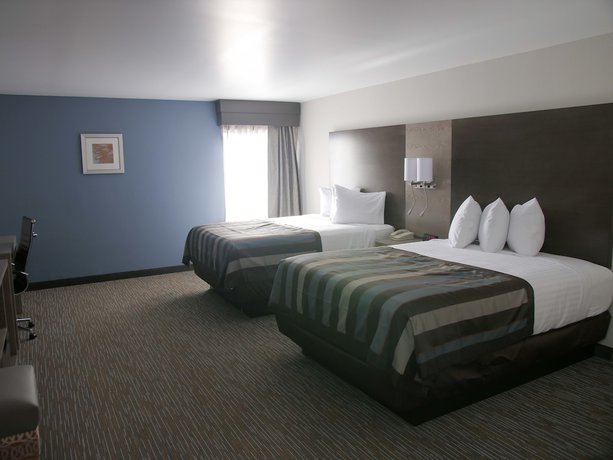 Imagen de la habitación del Hotel Wingate By Wyndham Louisville Fair and Expo. Foto 5