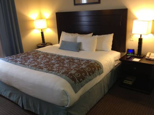 Imagen de la habitación del Hotel Wingate By Wyndham New Braunfels. Foto 2