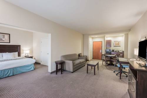 Imagen de la habitación del Hotel Wingate By Wyndham New Braunfels. Foto 4