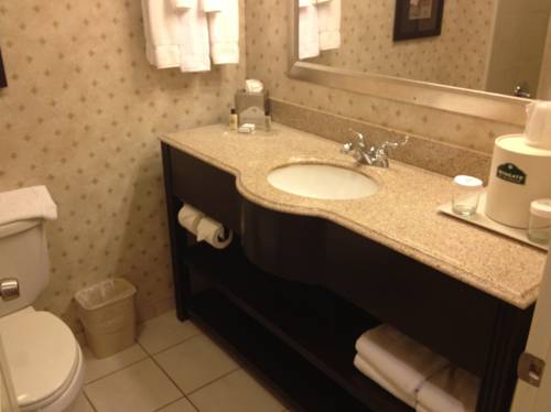 Imagen de la habitación del Hotel Wingate By Wyndham New Braunfels. Foto 8