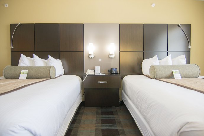 Imagen de la habitación del Hotel Wingate By Wyndham Orlando International Airport. Foto 13