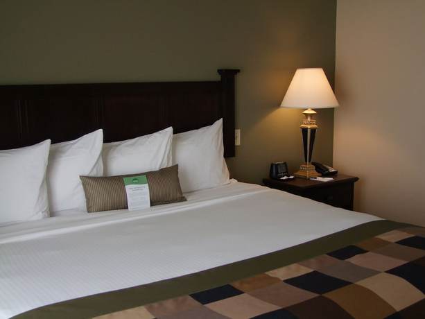 Imagen de la habitación del Hotel Wingate By Wyndham Peoria. Foto 4