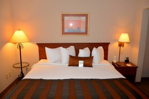 Imagen de la habitación del Hotel Wingate By Wyndham West Monroe. Foto 7