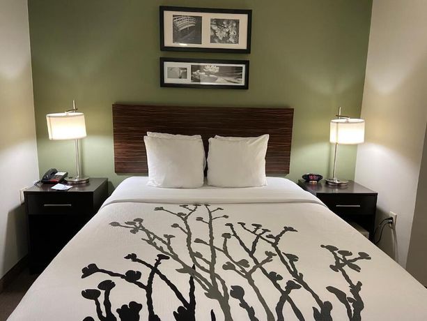 Imagen de la habitación del Hotel Wingate by Wyndham Bel Air I-95 Exit 77A - APG Area. Foto 6