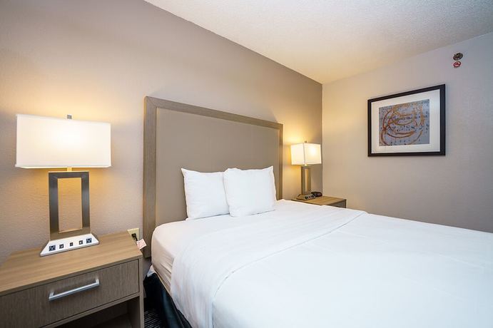 Imagen de la habitación del Hotel Wingate by Wyndham Brunswick GA / I-95. Foto 11