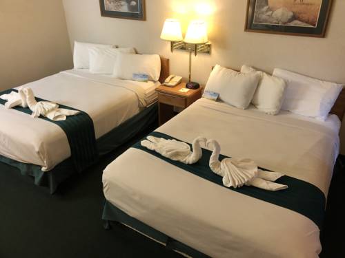 Imagen de la habitación del Hotel Wingate by Wyndham Butte City Center I-15/I-90. Foto 5