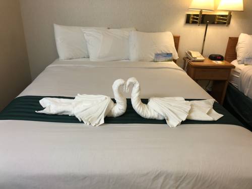 Imagen de la habitación del Hotel Wingate by Wyndham Butte City Center I-15/I-90. Foto 6