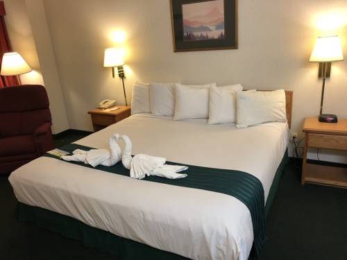 Imagen de la habitación del Hotel Wingate by Wyndham Butte City Center I-15/I-90. Foto 7