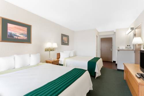 Imagen de la habitación del Hotel Wingate by Wyndham Butte City Center I-15/I-90. Foto 10