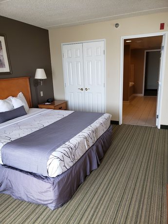 Imagen de la habitación del Hotel Wingate by Wyndham Coon Rapids. Foto 3