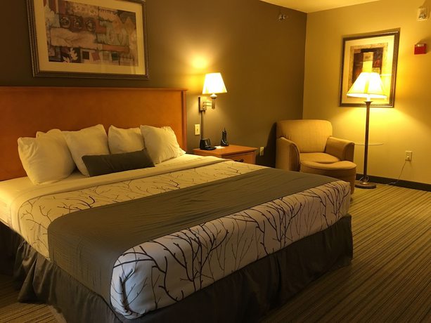 Imagen de la habitación del Hotel Wingate by Wyndham Coon Rapids. Foto 7