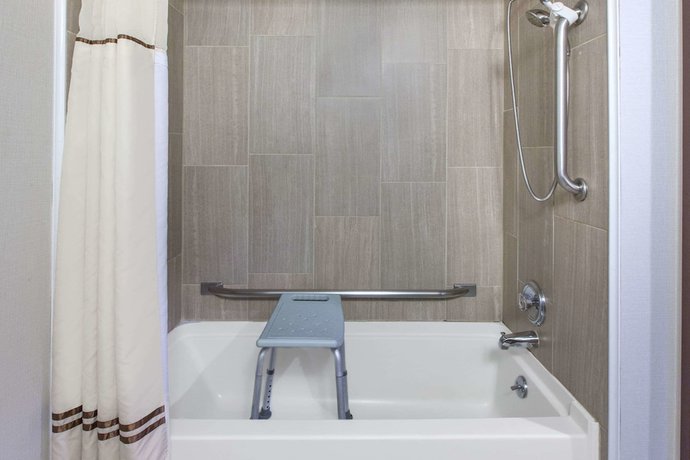 Imagen de la habitación del Hotel Wingate by Wyndham Detroit Metro Airport. Foto 11
