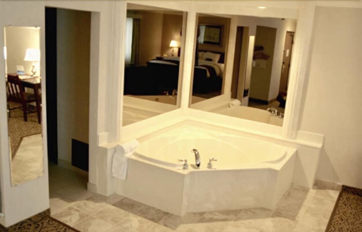 Imagen de la habitación del Hotel Wingate by Wyndham Detroit Metro Airport. Foto 13