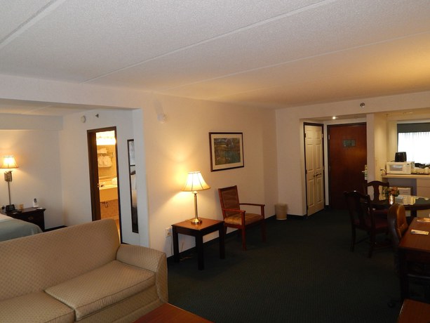 Imagen de la habitación del Hotel Wingate by Wyndham Duluth/Atlanta. Foto 5