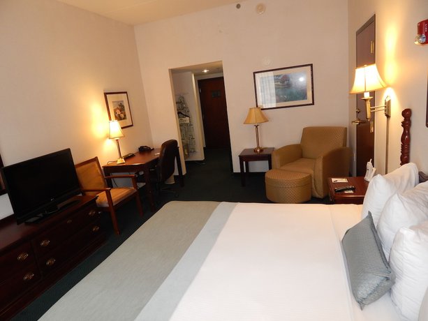 Imagen de la habitación del Hotel Wingate by Wyndham Duluth/Atlanta. Foto 12