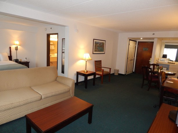 Imagen de la habitación del Hotel Wingate by Wyndham Duluth/Atlanta. Foto 14