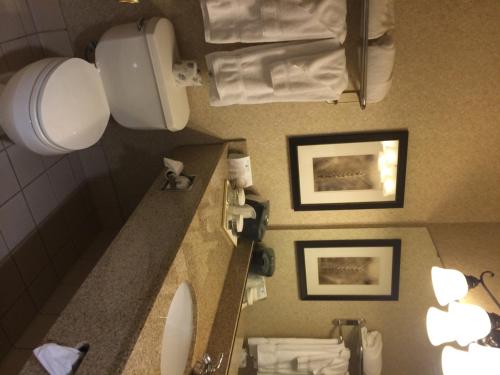 Imagen de la habitación del Hotel Wingate by Wyndham Helena. Foto 8