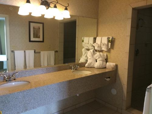 Imagen general del Hotel Wingate by Wyndham Helena. Foto 4