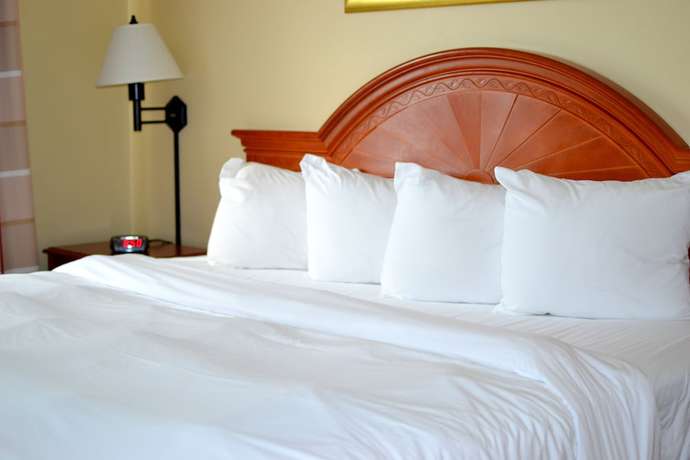 Imagen de la habitación del Hotel Wingate by Wyndham Matthews/Charlotte. Foto 6