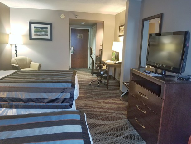 Imagen de la habitación del Hotel Wingate by Wyndham Raleigh Durham / Airport. Foto 6