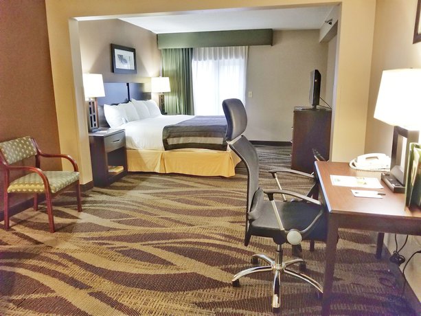 Imagen de la habitación del Hotel Wingate by Wyndham Raleigh Durham / Airport. Foto 8
