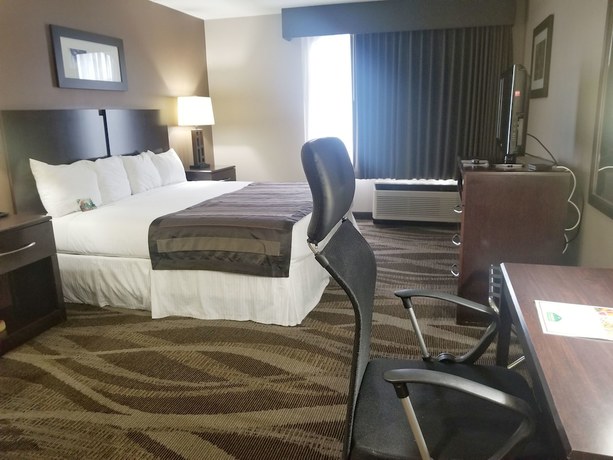 Imagen de la habitación del Hotel Wingate by Wyndham Raleigh Durham / Airport. Foto 10