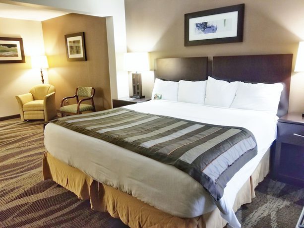 Imagen de la habitación del Hotel Wingate by Wyndham Raleigh Durham / Airport. Foto 12