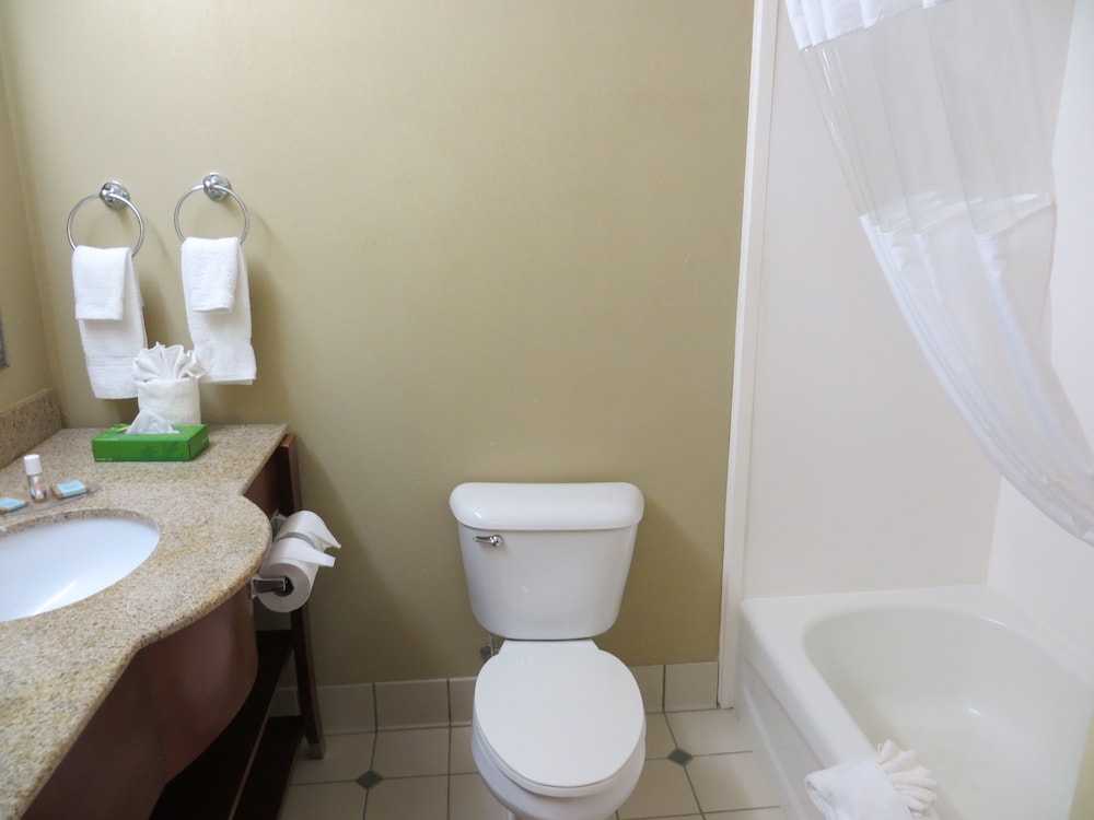 Imagen de la habitación del Hotel Wingate by Wyndham Savannah Gateway. Foto 7