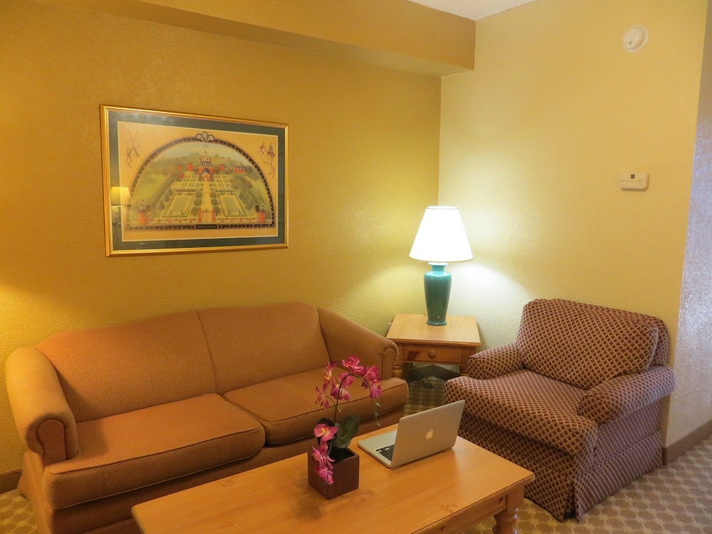 Imagen de la habitación del Hotel Wingate by Wyndham Savannah Gateway. Foto 10