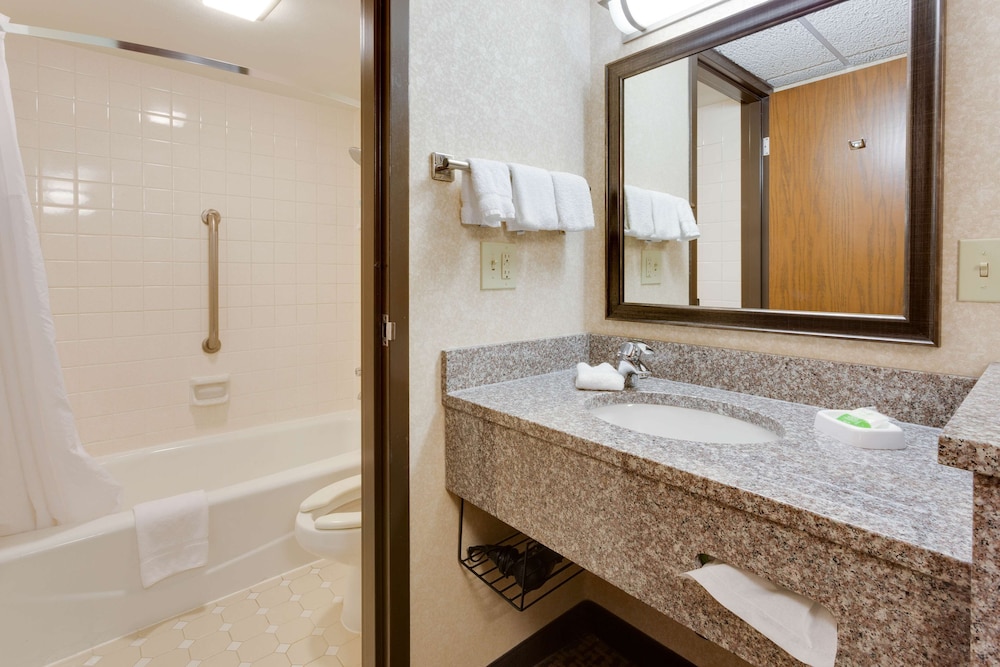 Imagen de la habitación del Hotel Wingate by Wyndham St. Louis/Fenton Route 66. Foto 16