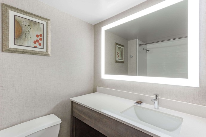 Imagen de la habitación del Hotel Wingate by Wyndham Tinley Park. Foto 10