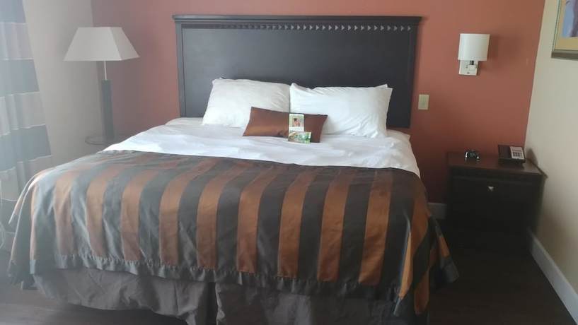Imagen de la habitación del Hotel Wingate by Wyndham Warner Robins. Foto 11