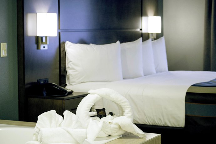 Imagen de la habitación del Hotel Wingate by Wyndham Wisconsin Dells Waterpark. Foto 16