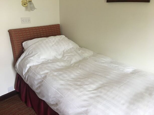 Imagen de la habitación del Hotel Winston Manor. Foto 17